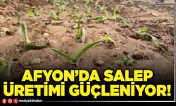 Afyon’da salep üretimi güçleniyor!