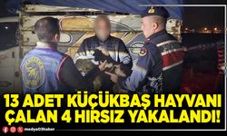13 adet küçükbaş hayvanı çalan 4 hırsız yakalandı!