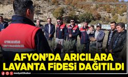 Afyon’da arıcılara lavanta fidesi dağıtıldı