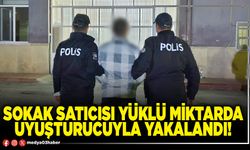 Sokak satıcısı yüklü miktarda uyuşturucuyla yakalandı!