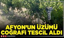 Afyon’un üzümü coğrafi tescil aldı