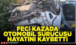 Feci kazada otomobil sürücüsü hayatını kaybetti