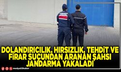 Dolandırıcılık, hırsızlık, tehdit ve firar suçundan aranan şahsı Jandarma yakaladı
