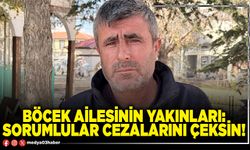 Böcek ailesinin yakınları: Sorumlular cezalarını çeksin!