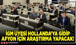 İGM üyesi Hollanda’ya gidip Afyon için araştırma yapacak!