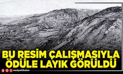 Bu resim çalışmasıyla ödüle layık görüldü