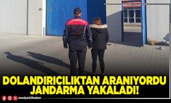 Dolandırıcılıktan aranıyordu Jandarma yakaladı!