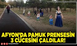 Afyon’da pamuk prensesin 3 cücesini çaldılar!
