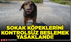 Sokak köpeklerini kontrolsüz beslemek yasaklandı!