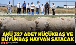 AKÜ 327 adet küçükbaş ve büyükbaş hayvan satacak
