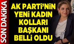 AK Parti’nin yeni Kadın Kolları Başkanı belli oldu