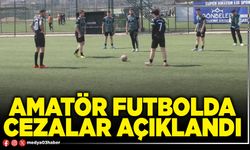 Amatör futbolda cezalar açıklandı