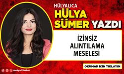 İzinsiz alıntılama meselesi