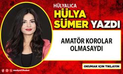 Amatör korolar olmasaydı