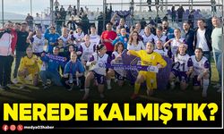 Nerede kalmıştık?