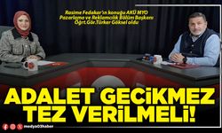 Adalet gecikmez tez verilmeli!