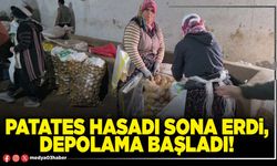 Patates hasadı sona erdi, depolama başladı!
