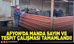 Afyon’da manda sayım ve tespit çalışması tamamlandı!