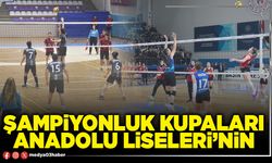 Şampiyonluk kupaları Anadolu Liseleri’nin