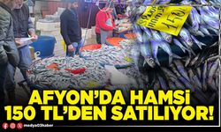 Afyon’da hamsi 150 TL’den satılıyor!