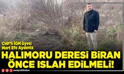 Halımoru deresi biran önce ıslah edilmeli!