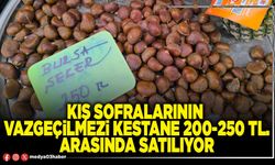 Kış sofralarının vazgeçilmezi kestane 200-250 TL. arasında satılıyor