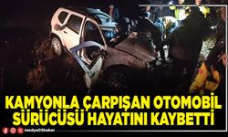 Kamyonla çarpışan otomobil sürücüsü hayatını kaybetti