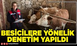 Besicilere yönelik denetim yapıldı