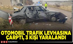 Otomobil trafik levhasına çarptı, 3 kişi yaralandı