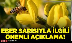 Eber sarısıyla ilgili önemli açıklama!