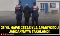 25 yıl hapis cezasıyla aranıyordu Jandarma’ya yakalandı!