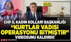 CHP İl Kadın Kolları Başkanlığı “Kurtlar Vadisi operasyonu bitmiştir” videosunu kaldırdı!