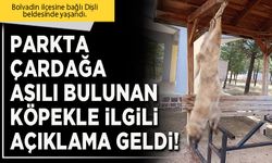 Parkta çardağa asılı bulunan köpekle ilgili açıklama geldi!