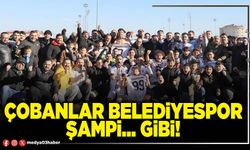 Çobanlar Belediyespor şampi… gibi!