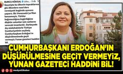 Cumhurbaşkanı Erdoğan'ın düşürülmesine geçit vermeyiz, Yunan gazeteci haddini bil!