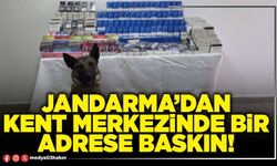 Jandarma’dan kent merkezinde bir adrese baskın!