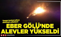 Eber Gölü’nde alevler yükseldi