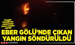 Eber Gölü’nde çıkan yangın söndürüldü