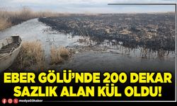 Eber Gölü’nde 200 dekar sazlık alan kül oldu!