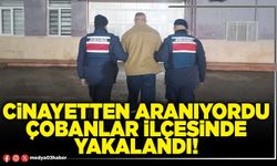 Cinayetten aranıyordu Çobanlar ilçesinde yakalandı!