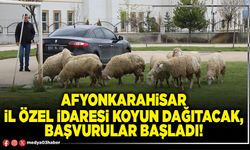 Afyonkarahisar İl Özel İdaresi koyun dağıtacak, başvurular başladı!