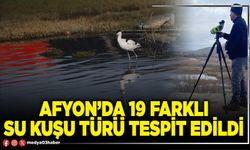 Afyon’da 19 farklı su kuşu türü tespit edildi