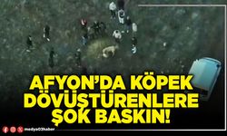 Afyon’da köpek dövüştürenlere şok baskın!