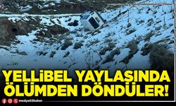 Yellibel yaylasında ölümden döndüler!