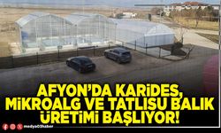 Afyon’da karides, mikroalg ve tatlısu balık üretimi başlıyor!