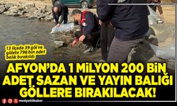 Afyon’da 1 milyon 200 bin adet sazan ve yayın balığı göllere bırakılacak!
