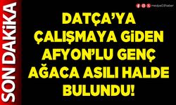 Datça’ya çalışmaya giden Afyon’lu genç ağaca asılı halde bulundu!
