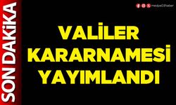 Valiler kararnamesi yayımlandı