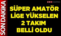 Süper Amatör Lige yükselen 2 takım belli oldu