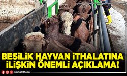 Besilik hayvan ithalatına ilişkin önemli açıklama!
